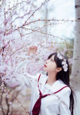 日本无码av熟女磁力_高清版日韩电影在线